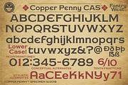 Copper Penny™ Font Collection, a Serif Font by Fontry West (Thumbnail 4 of 8)