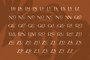 Camelia Sans - Unique Typeface, a Sans Serif Font by CCS Type (Thumbnail 14 of 16)