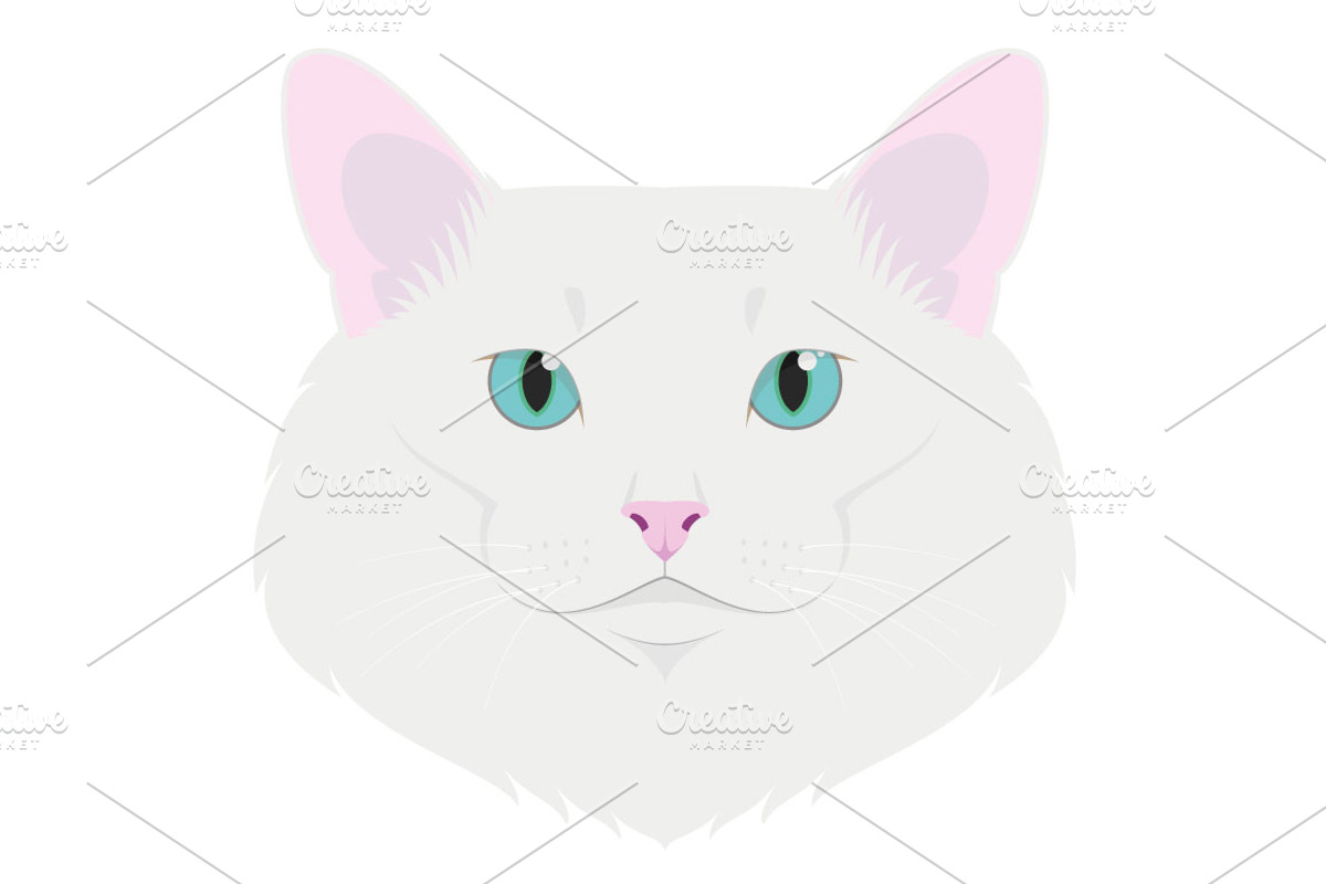 9x Cat breeds Vector Collection, an Animal Illustration by asantosg (Photo 4 of 5)