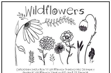 Hand-Drawn Wildflower Digital Stamps