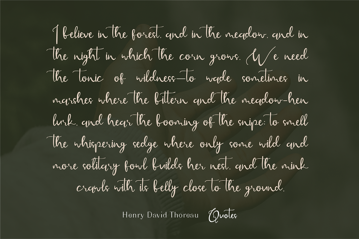 Seralace - Elegant Handwritten, a Handwritten Font by Indotype Foundry (Photo 8 of 10)