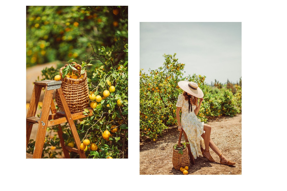 Limoncello Styled Stock Photo Bundle, a Background Photo by Munopia (Photo 7 of 7)