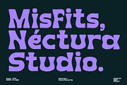 Rapid ( New Font ), a Serif Font by HRDR (Thumbnail 3 of 11)