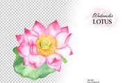 Watercolor lotus flower clipart, an Illustration by OlDm_Shop (Thumbnail 7 of 10)