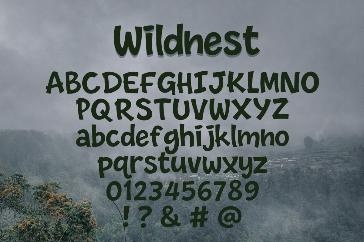 Wildnest Natural Handwritten Font, a Handwritten Font by cocodesign (Photo 8 of 8)