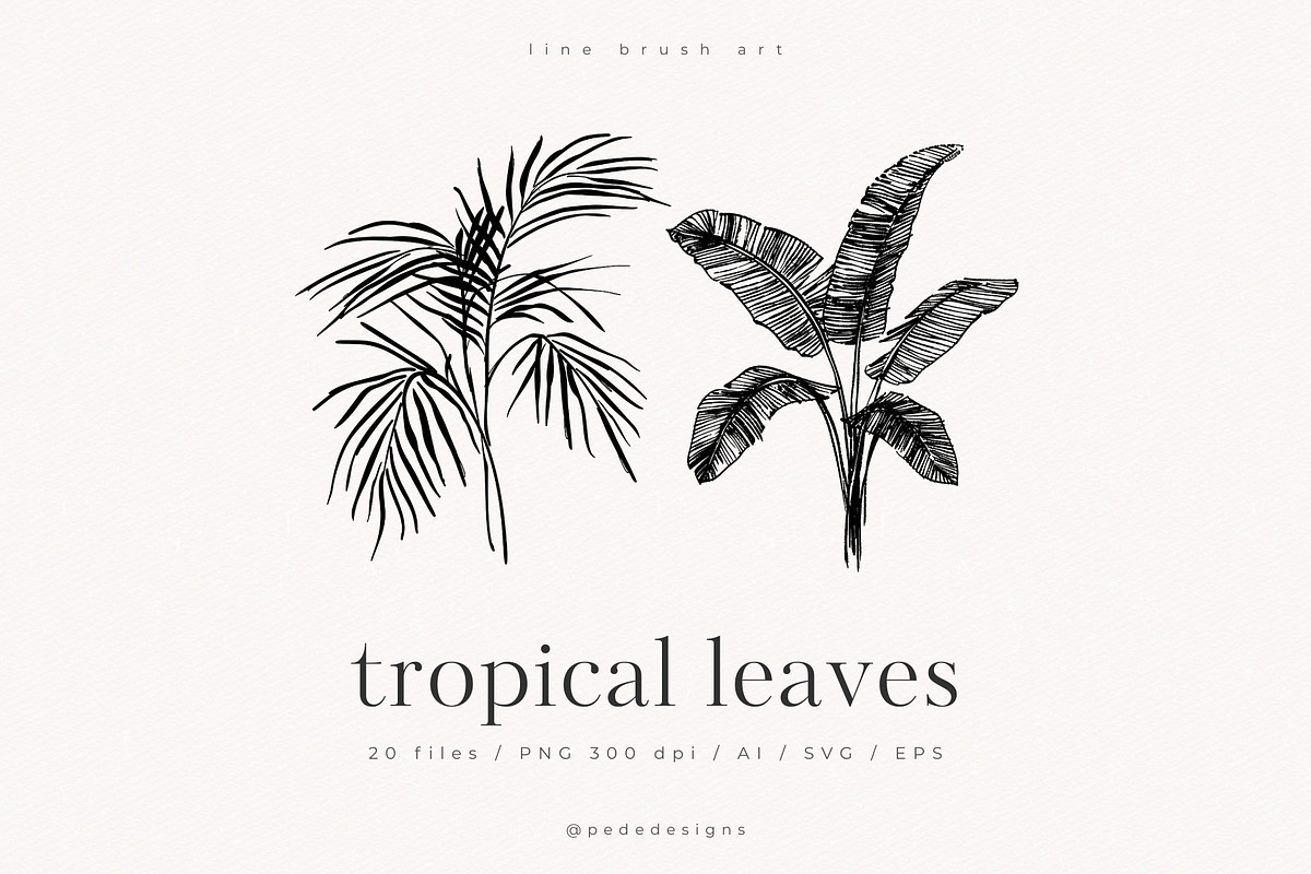 Tropical Leaves, a Decorative Illustration by PeDe Designs (Photo 1 of 7)