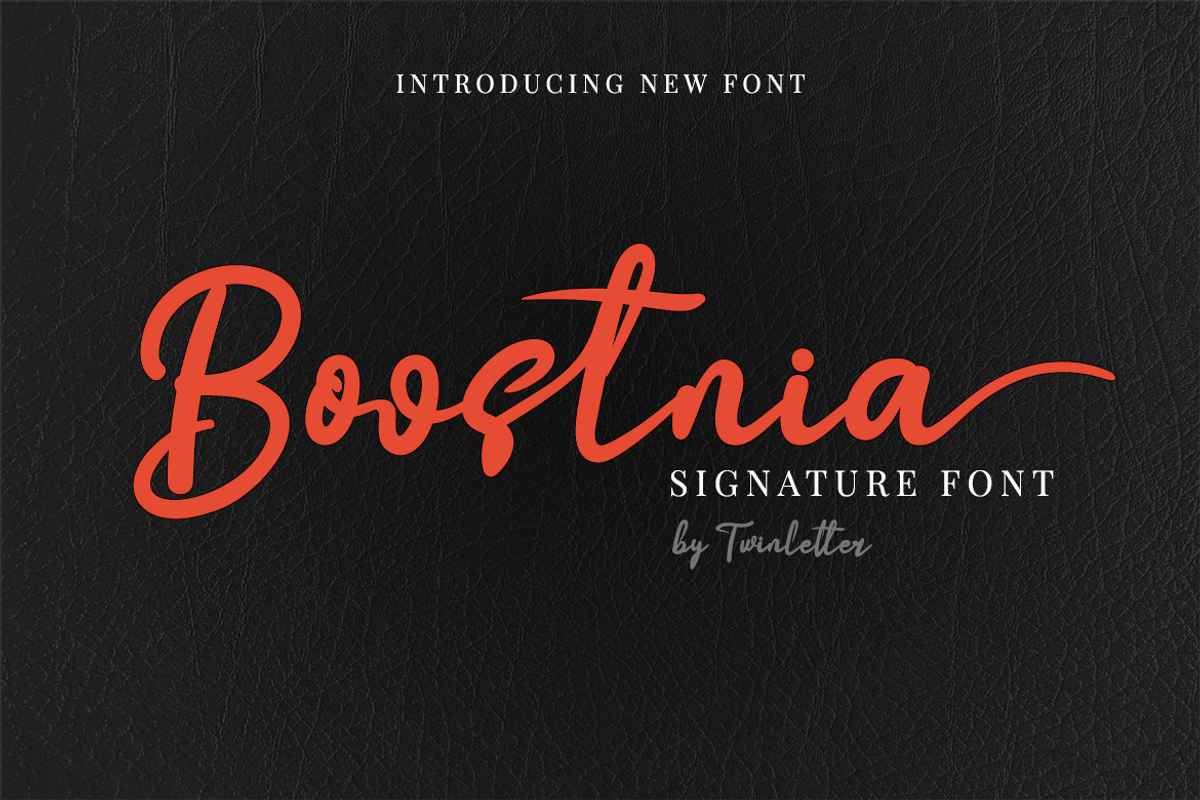 Boostnia, a Script Font by twinstd (Photo 1 of 16)