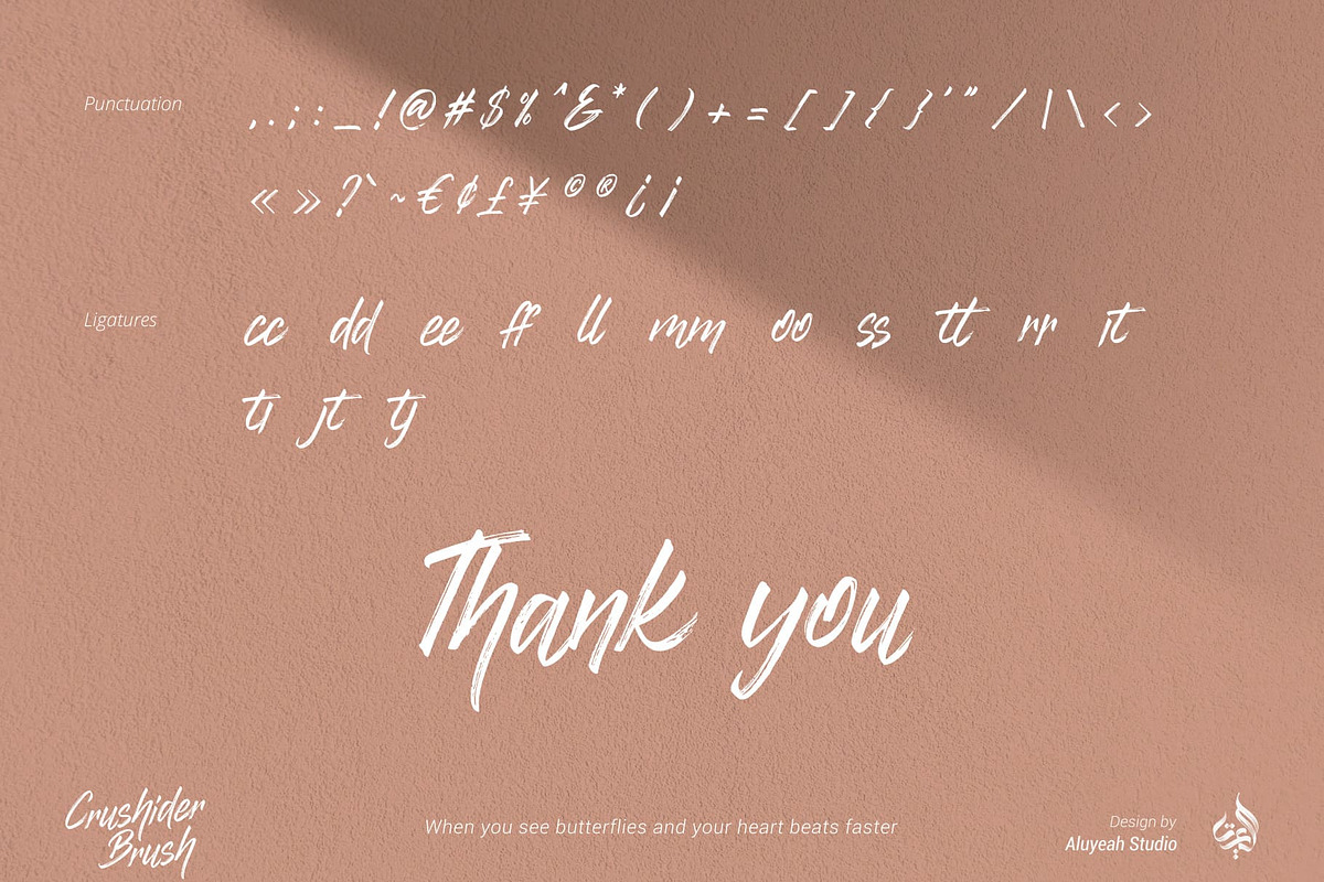 Crushider Brush, a Script Font by Aluyeah Studio (Photo 14 of 14)
