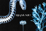 X-Ray Images Collection, a Background Graphic by Freezerondigital (Thumbnail 14 of 14)
