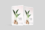 Clay Tablet Mockup, an iPad Mockup by rahmatmoscae (Thumbnail 10 of 11)