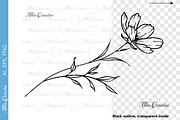 Fine Line Birth flowers Collection, an Illustration by CaraulanStore (Thumbnail 4 of 8)