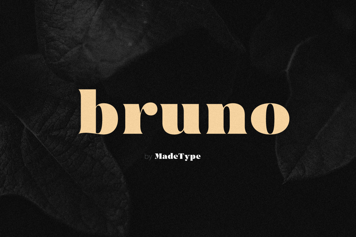 MADE Bruno, a Serif Font by MadeType (Photo 1 of 19)