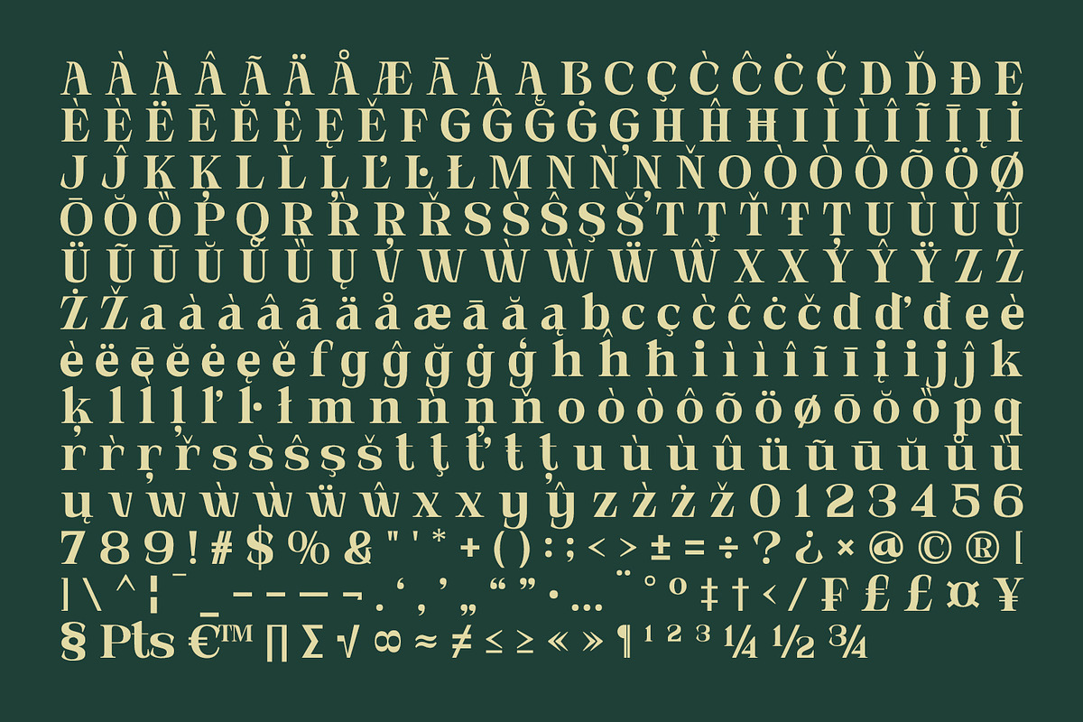 Novarick, a Serif Font by din-studio.com (Photo 13 of 16)