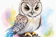 12 Watercolor baby owl clipart pack, an Animal Illustration by ZaaxPrintables (Thumbnail 7 of 8)
