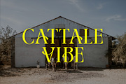 Georgia Decorative Typeface, a Serif Font by Foxtype (Thumbnail 2 of 8)