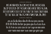 Jaskirann Chisholm, a Serif Font by Cruzine (Thumbnail 7 of 8)