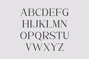 OSIKE//A Modern Serif, a Serif Font by Kleffont Studio (Thumbnail 2 of 8)
