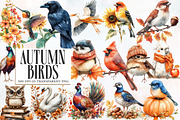 Autumn Birds Clipart, an Illustration by Designworld (Thumbnail 1 of 5)