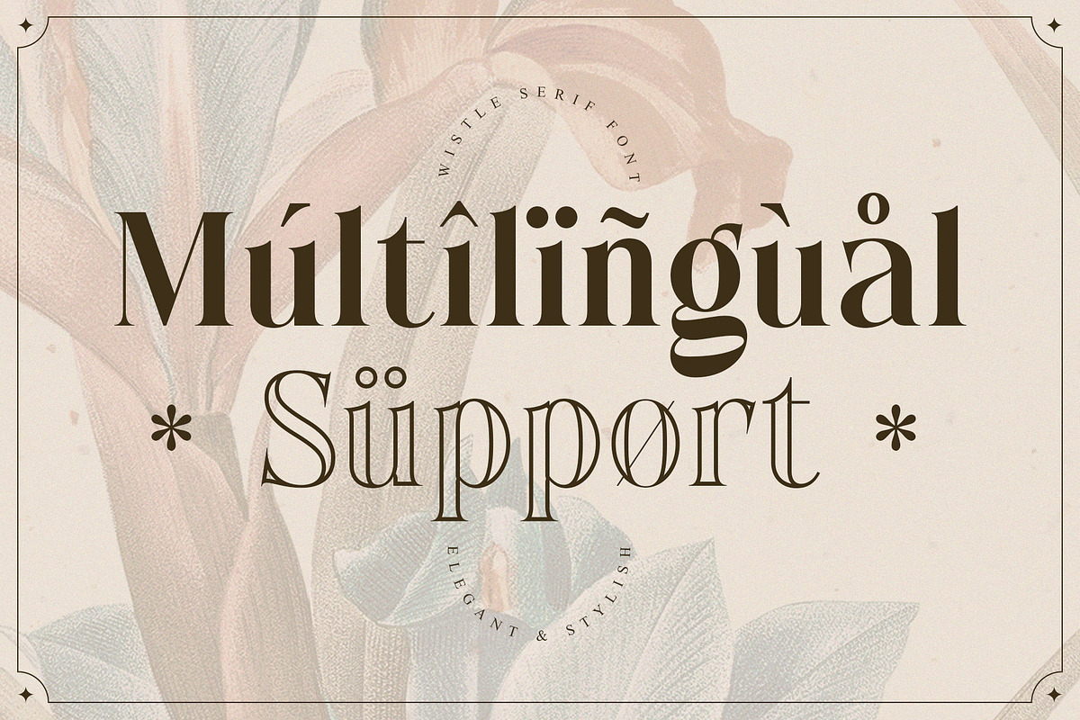 Wistle – Elegant Stylish Serif, a Serif Font by Almeera Std (Photo 9 of 10)