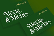 Abigeta 50% Discount, a Serif Font by Adam Azura (Thumbnail 10 of 14)