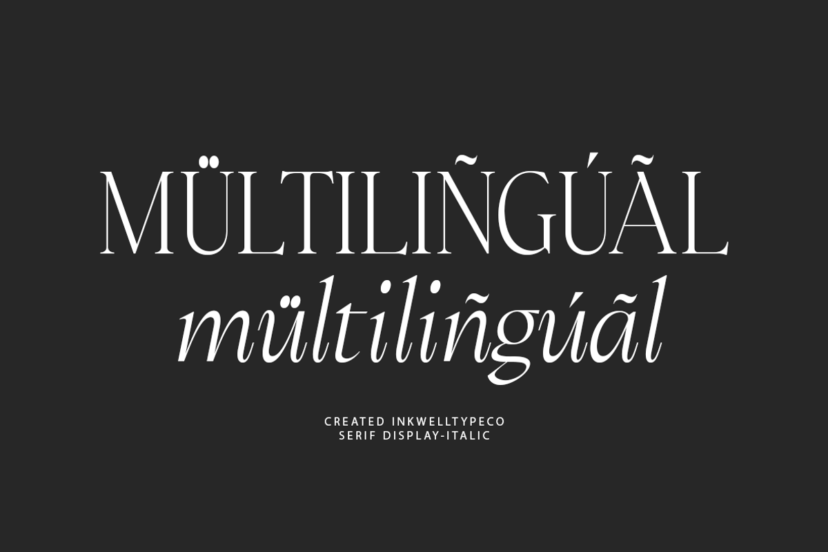 Charmatte | with italic, a Serif Font by InkwellTypeCo (Photo 5 of 19)