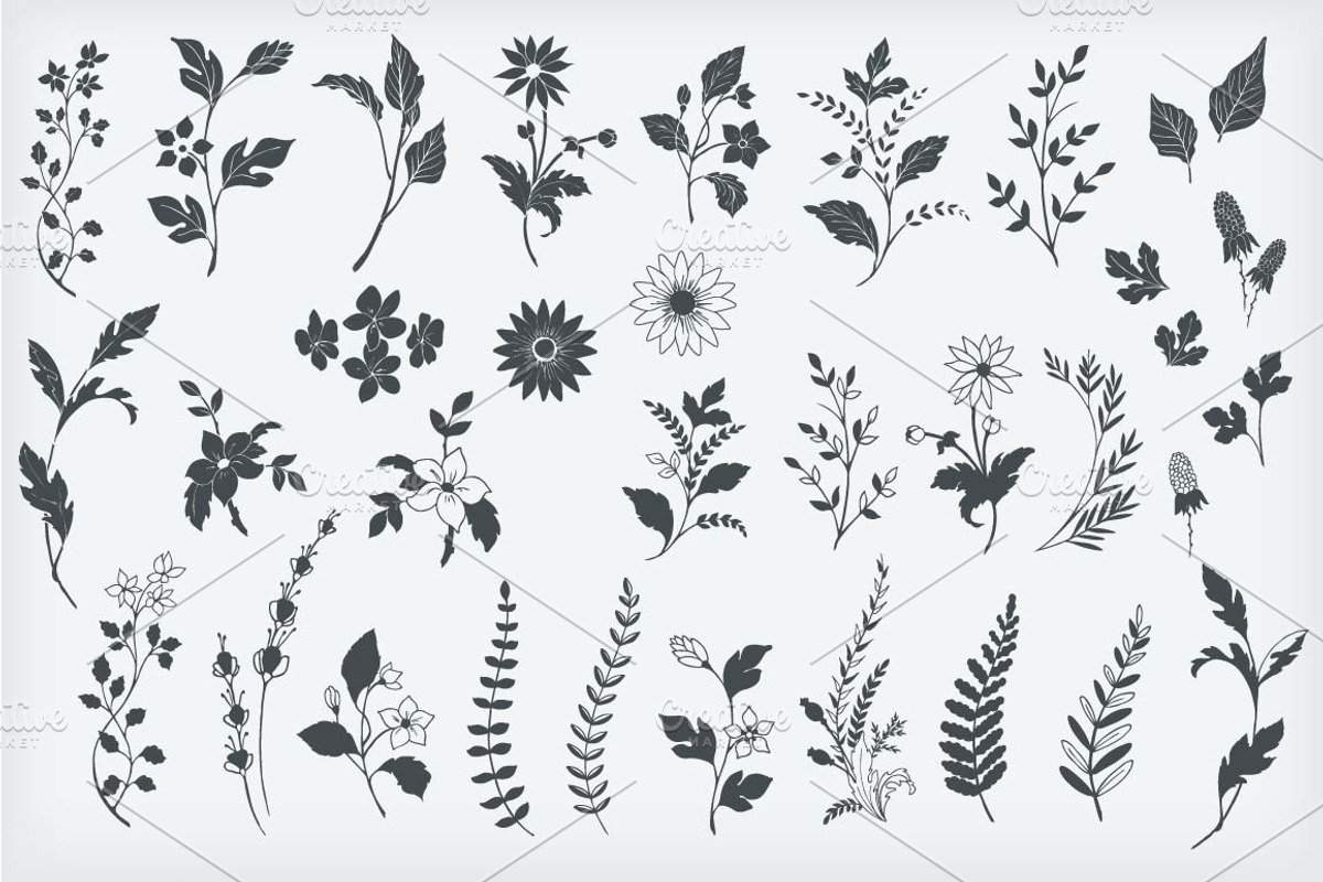 Botanical Decorative Elements, a Decorative Illustration by Solana (Photo 3 of 6)