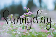 Lovely, a Handwritten Font by InermediaSTUDIO (Thumbnail 4 of 7)
