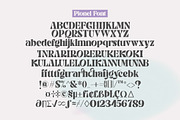 Pionel, a Serif Font by Fontastic (Thumbnail 9 of 10)