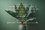 Tungle Rastu Raw Signature Script, a Script Font by Maulana Creative (Thumbnail 5 of 7)