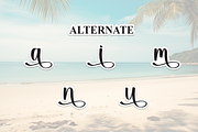 Summer Beach | Script Font, a Handwritten Font by Scratchones (Thumbnail 8 of 9)