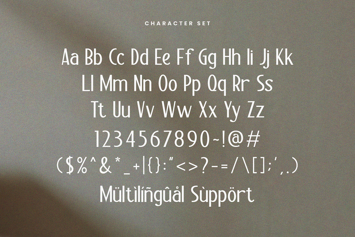 Chaline - Modern Elegant Sans Serif, a Sans Serif Font by Flawless And Co (Photo 9 of 10)