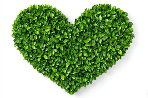 On Earth Day, a creative display of, a Nature Photo by ZinetroN