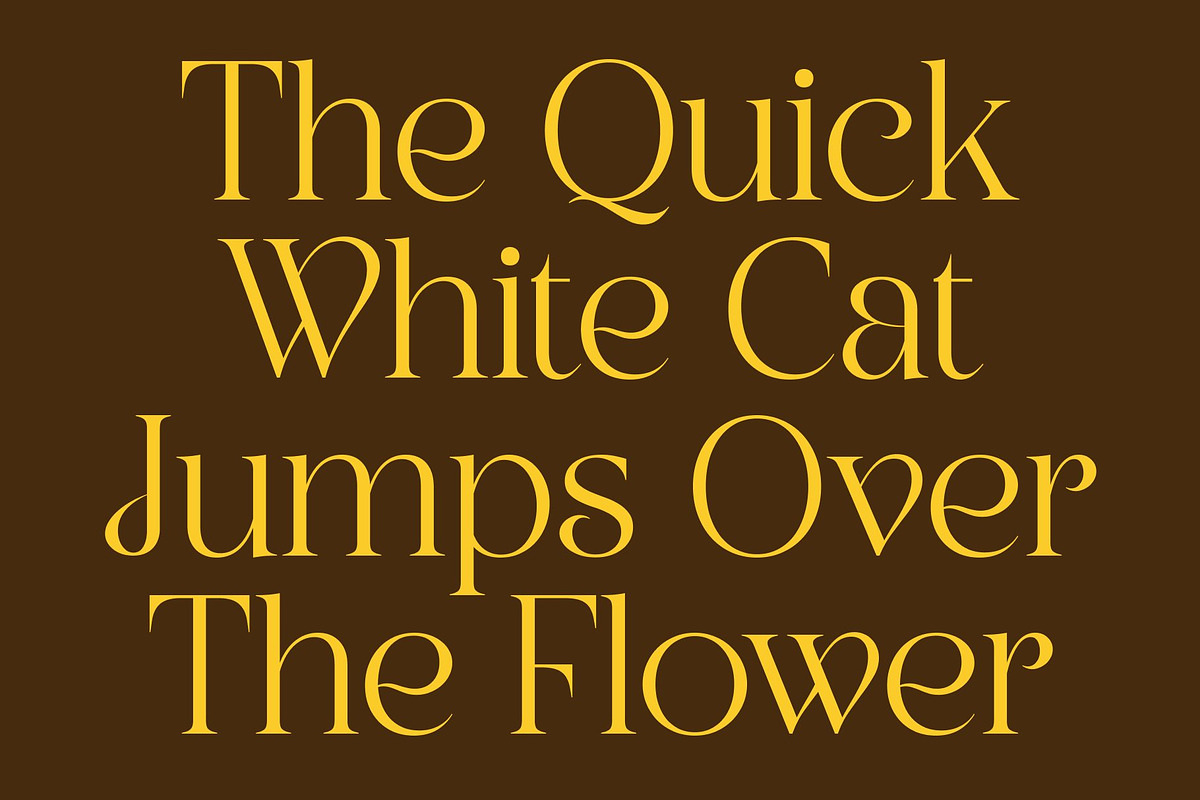 CS Asena – Elegant Serif Font, a Serif Font by Craft Supply Co. (Photo 2 of 8)