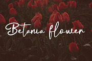 Antellove Feminine Script Font, a Script Font by NTC Graphic (Thumbnail 3 of 9)