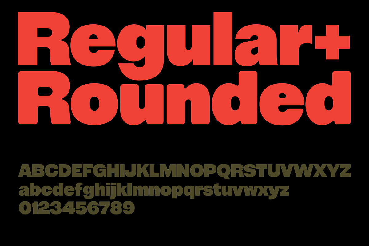 Corta, a Sans Serif Font by Flavortype (Photo 2 of 18)