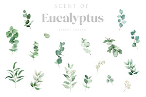 Scent Of Eucalyptus - Graphic Set