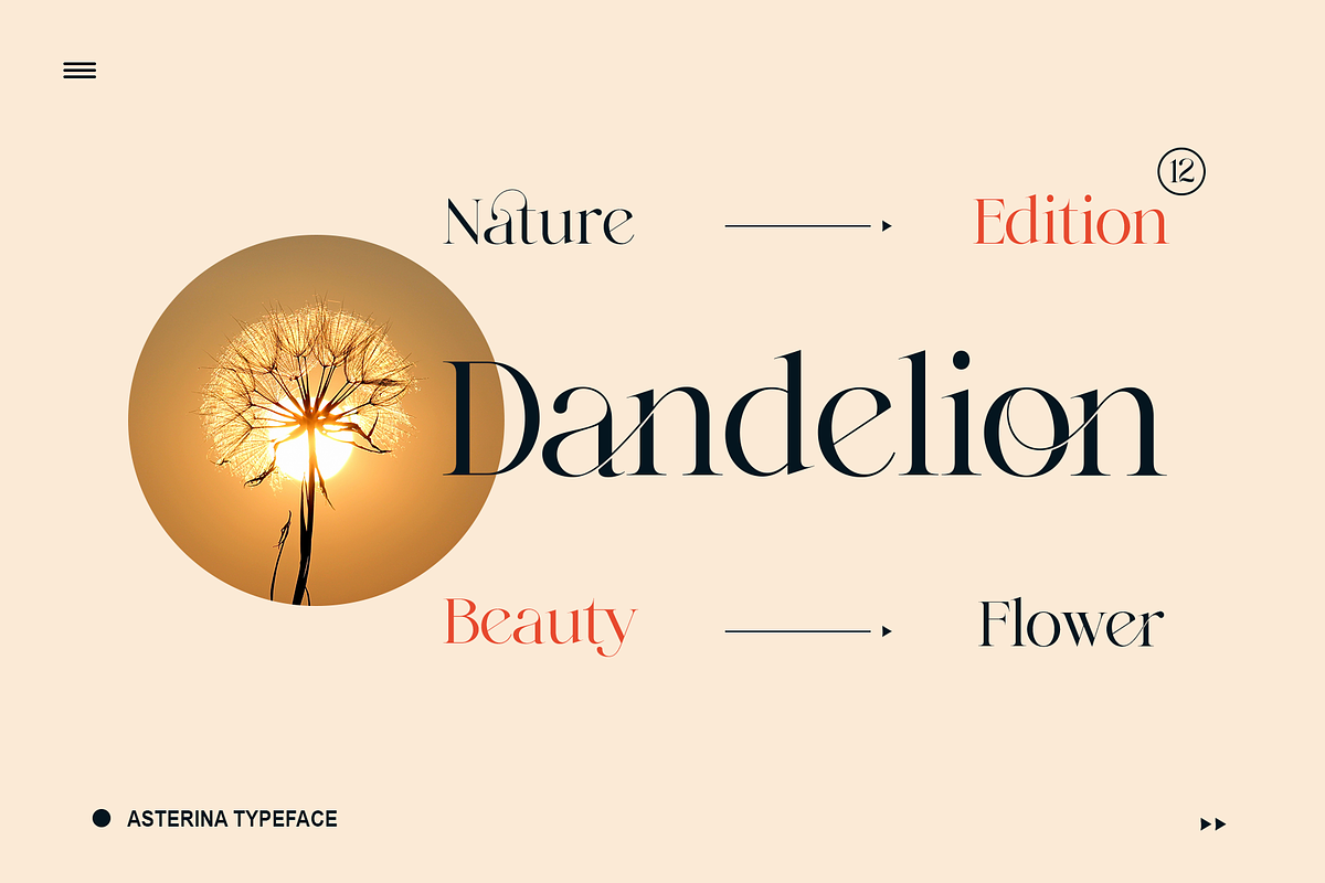 Elegant Ligature Serif Font, a Serif Font by Bekeen.co (Photo 7 of 10)