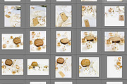 Fall Pumpkin Stock Image Bundle, a Holiday Photo by Studio Chic Designs (Thumbnail 4 of 4)