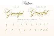 Armstrong, a Script Font by Larin Type Co. (Thumbnail 5 of 15)