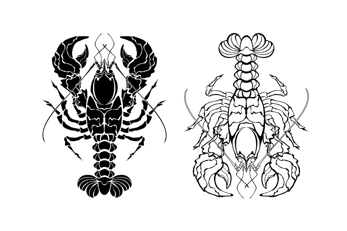 Two monochrome lobsters, an Animal Illustration by blackmoon9