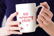 Garden Fancy Font Duo with Extras, a Script Font by The Pretty Letters (Thumbnail 7 of 11)