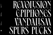 Ephidona, a Serif Font by Bagerich Type Foundry (Thumbnail 2 of 16)