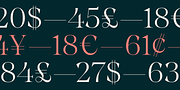 Chiaroscura, a Serif Font by Emtype Foundry (Thumbnail 5 of 15)