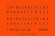 Romier Murilo Condensed Serif Font, a Serif Font by Rasio Studio (Thumbnail 2 of 11)