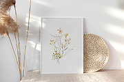 Wildflowers Watercolor Collection, a Decorative Illustration by Les Frolova (Thumbnail 7 of 12)