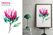 5 illustrations flower color mix, a Decorative Illustration by Integrity_store (Thumbnail 4 of 11)