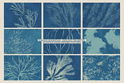 Ocean Shots hand drawn backgrounds, a Background Graphic by DigARTbyHavroshka (Thumbnail 5 of 10)