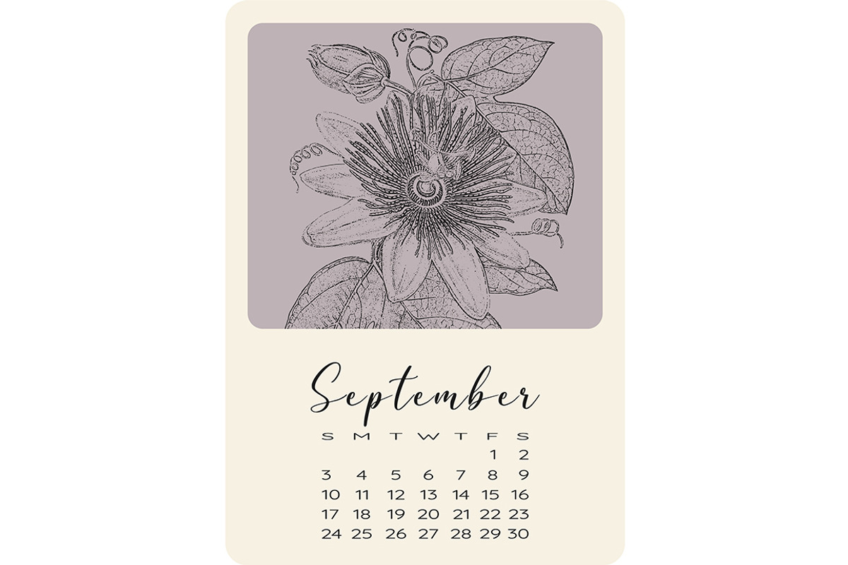 Calendar with monochrome flowers, a Stationery Template by NatalyN (Photo 10 of 13)