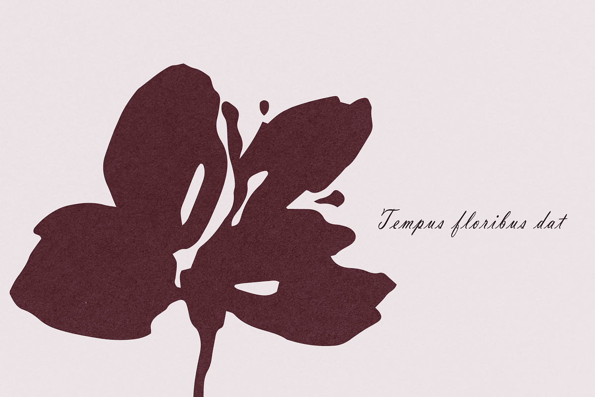 Ink Garden Clipart collection, an Object Illustration by RaDavCrafts (Photo 6 of 12)