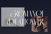 Recheng, a Serif Font by zaaintype (Thumbnail 2 of 12)